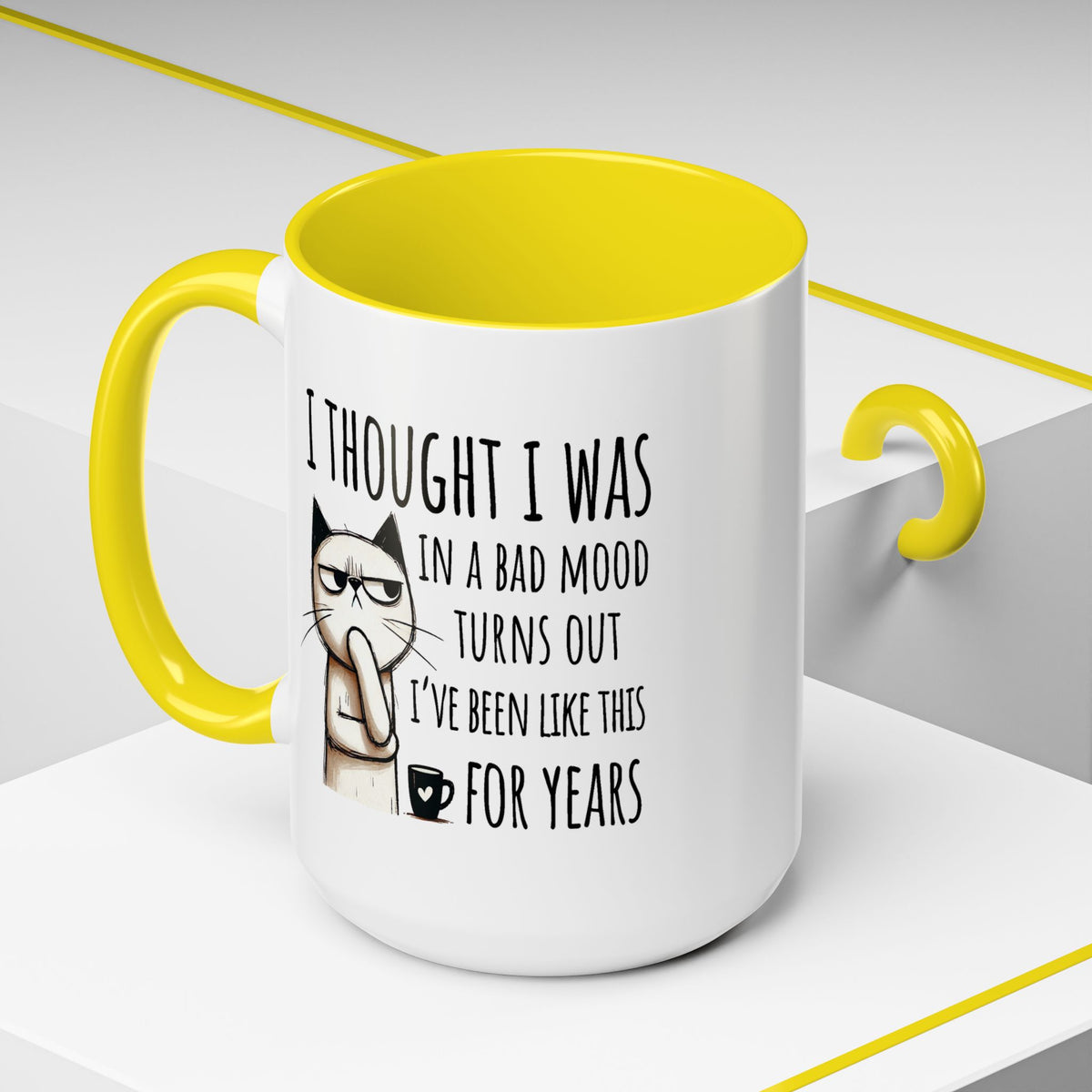 Adult Mug - I Thought I Was In A Bad Mood