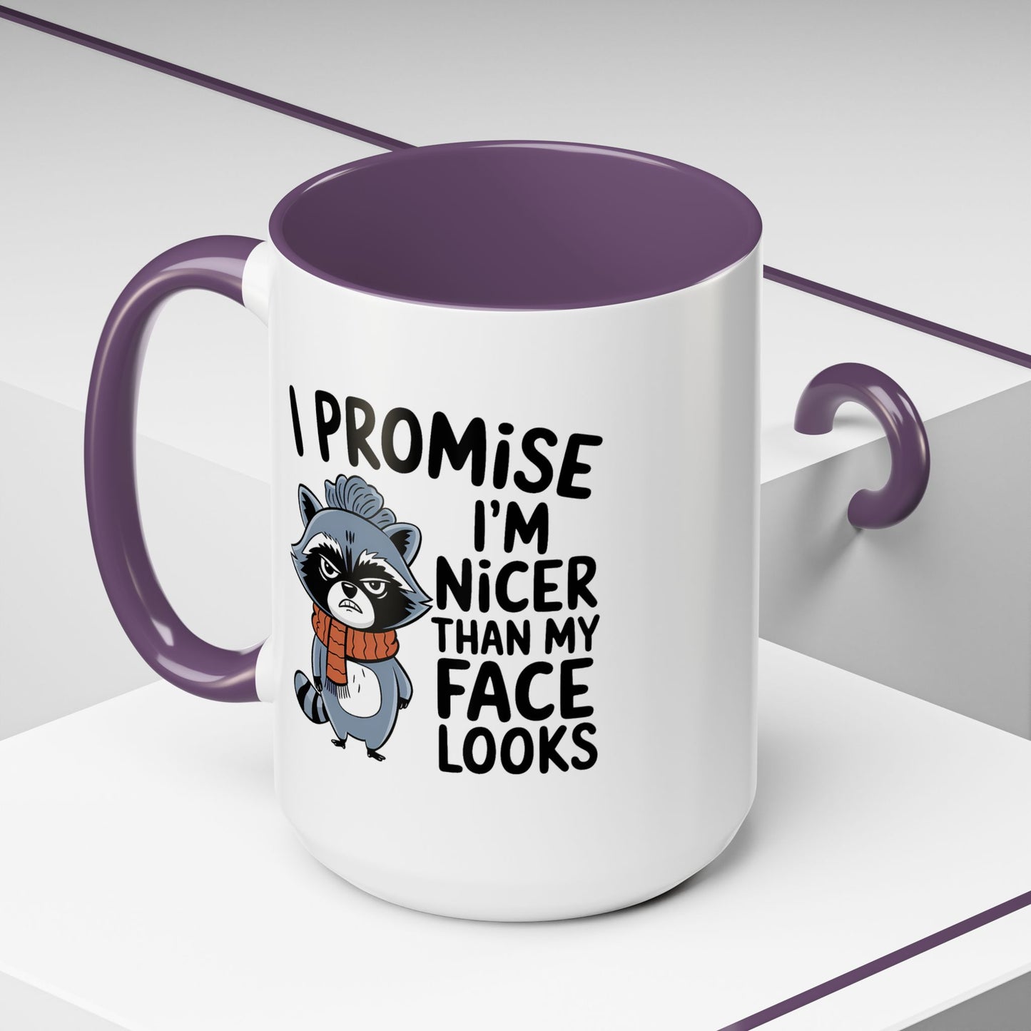 Humor Mug - I Promise I'm Nicer Than My Face Looks
