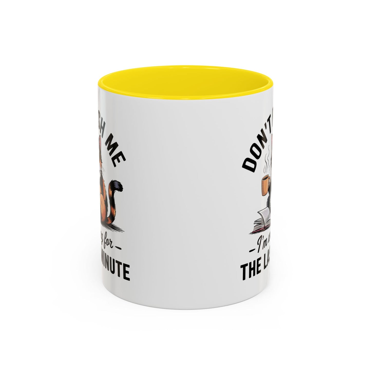 Humor Mug - Don't Rush Me Cat