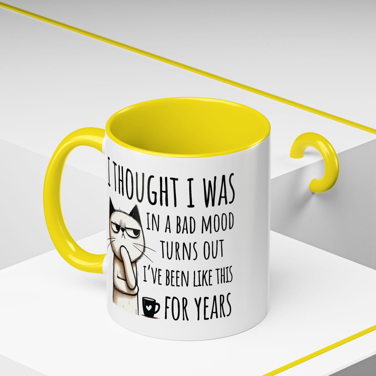 Adult Mug - I Thought I Was In A Bad Mood