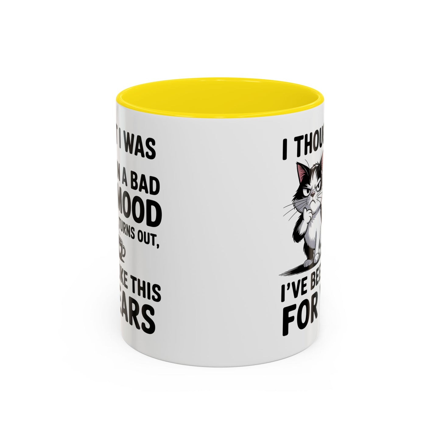 Animal Mug - I Thought I Was In a Bad Mood