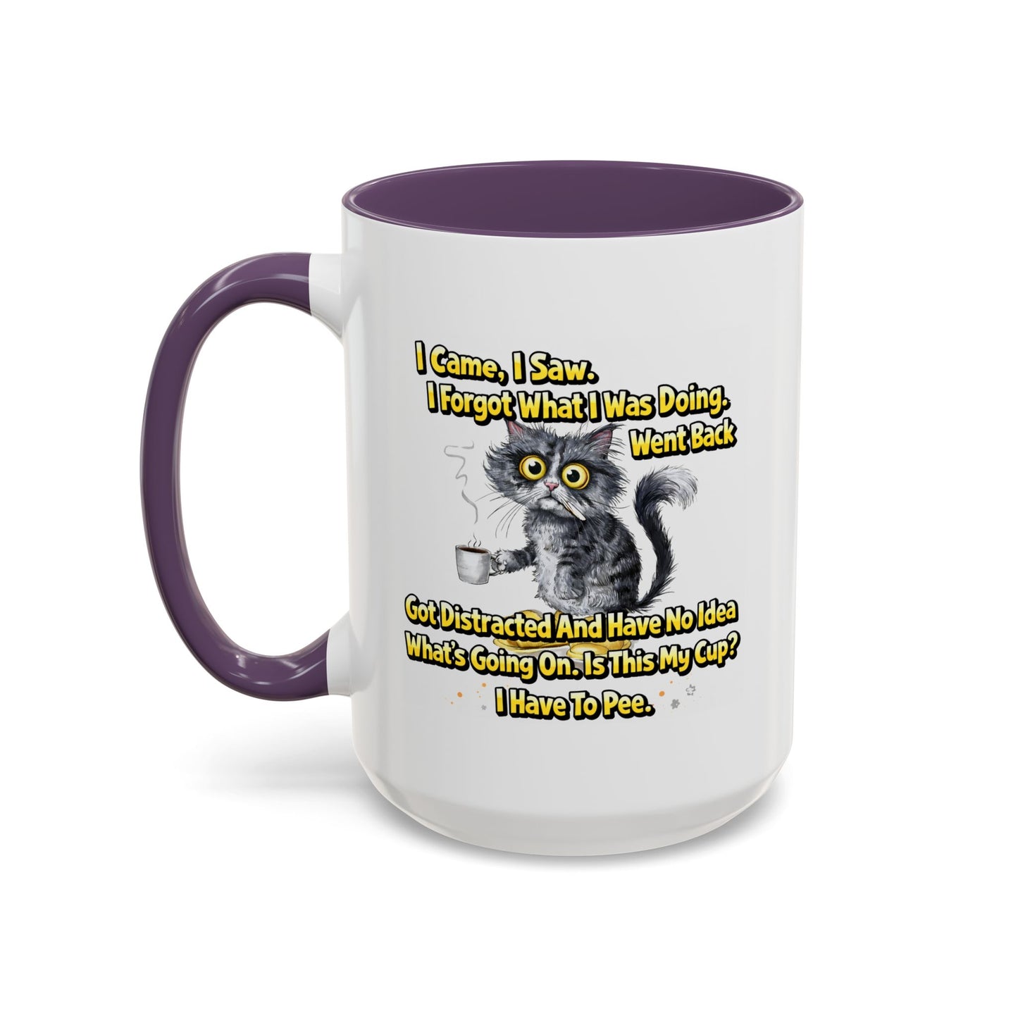Humor Mug - I Came I Saw