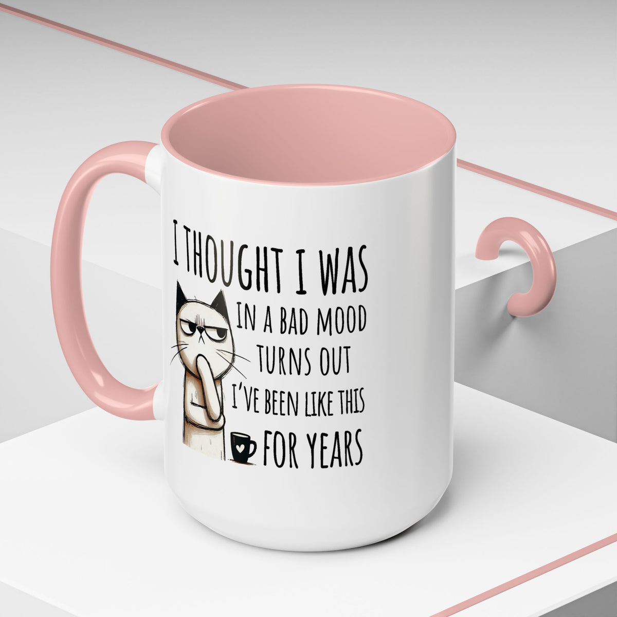 Adult Mug - I Thought I Was In A Bad Mood