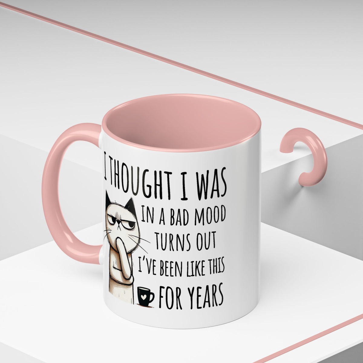 Adult Mug - I Thought I Was In A Bad Mood