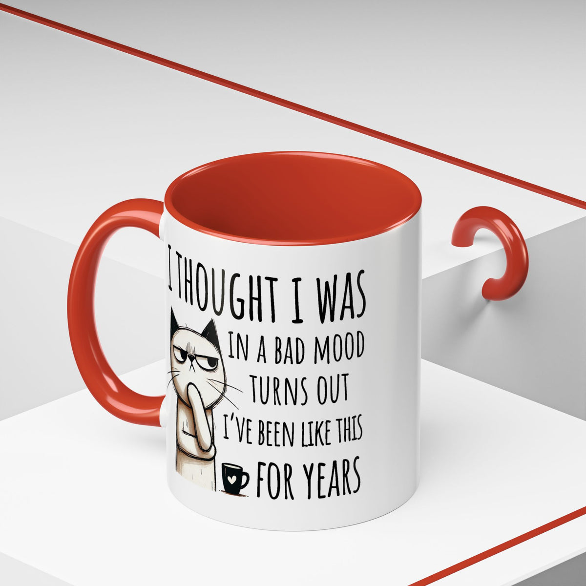 Adult Mug - I Thought I Was In A Bad Mood