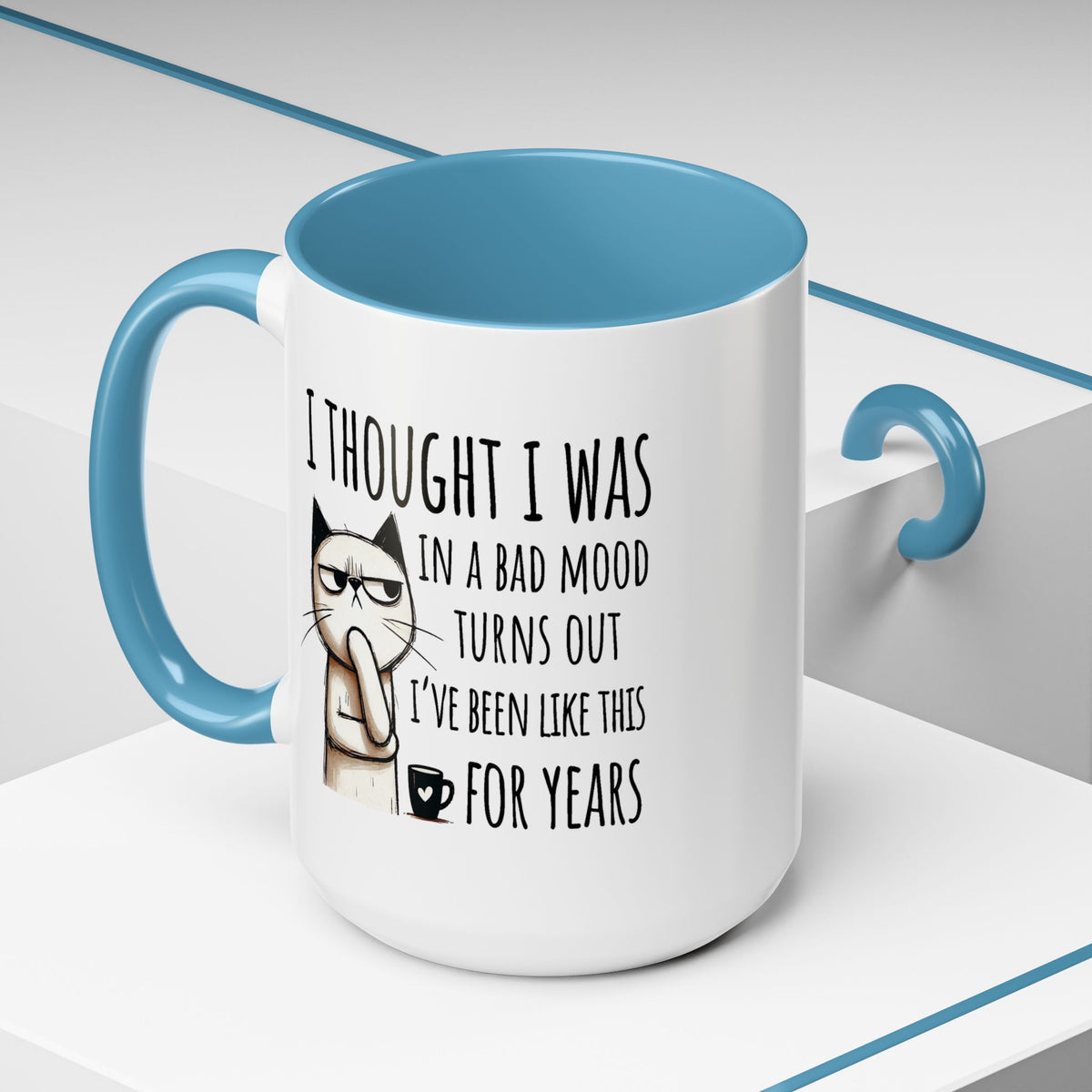 Adult Mug - I Thought I Was In A Bad Mood