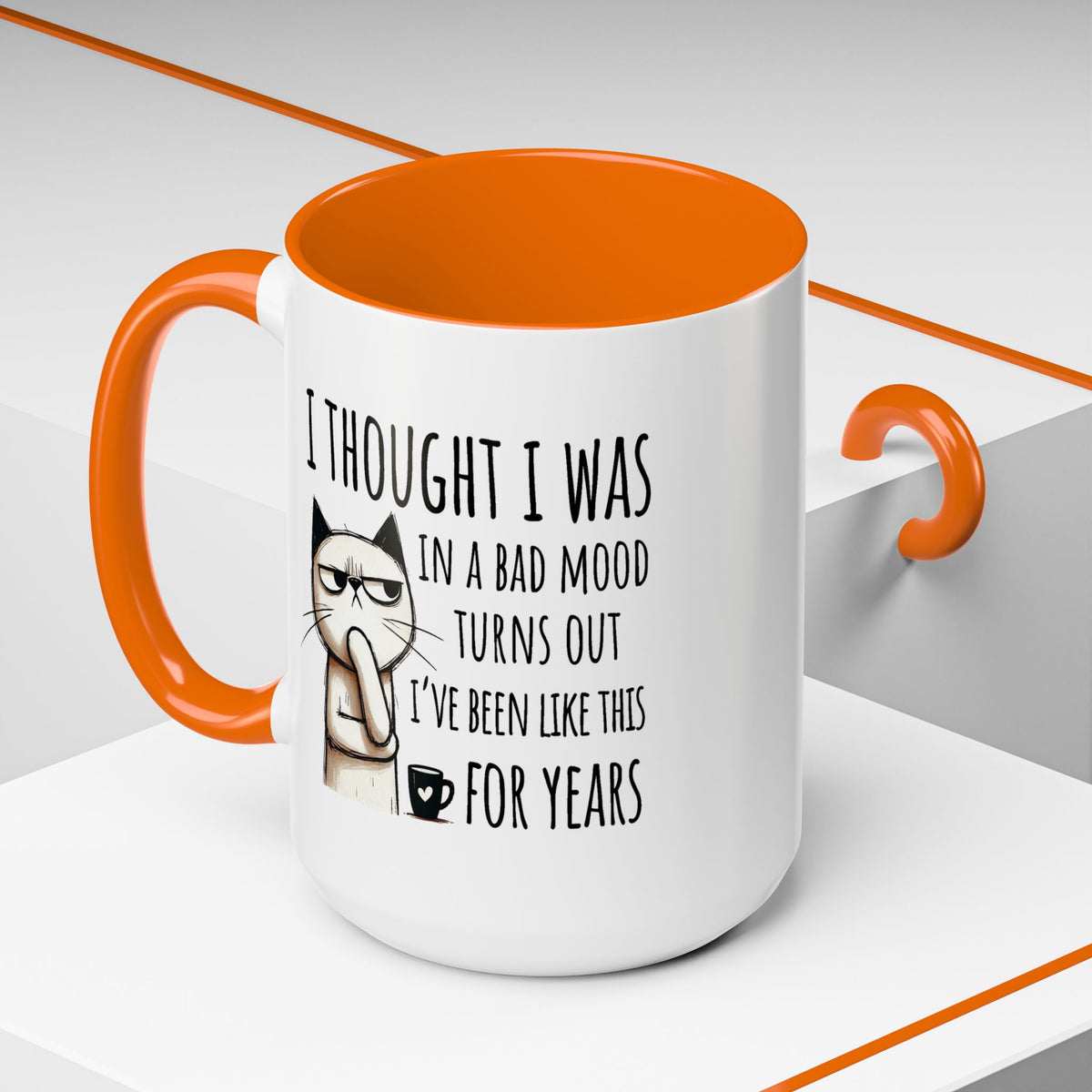 Adult Mug - I Thought I Was In A Bad Mood