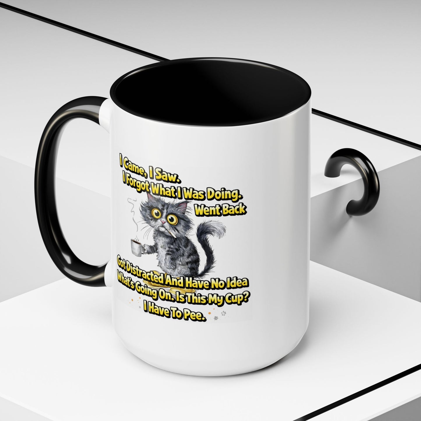 Humor Mug - I Came I Saw