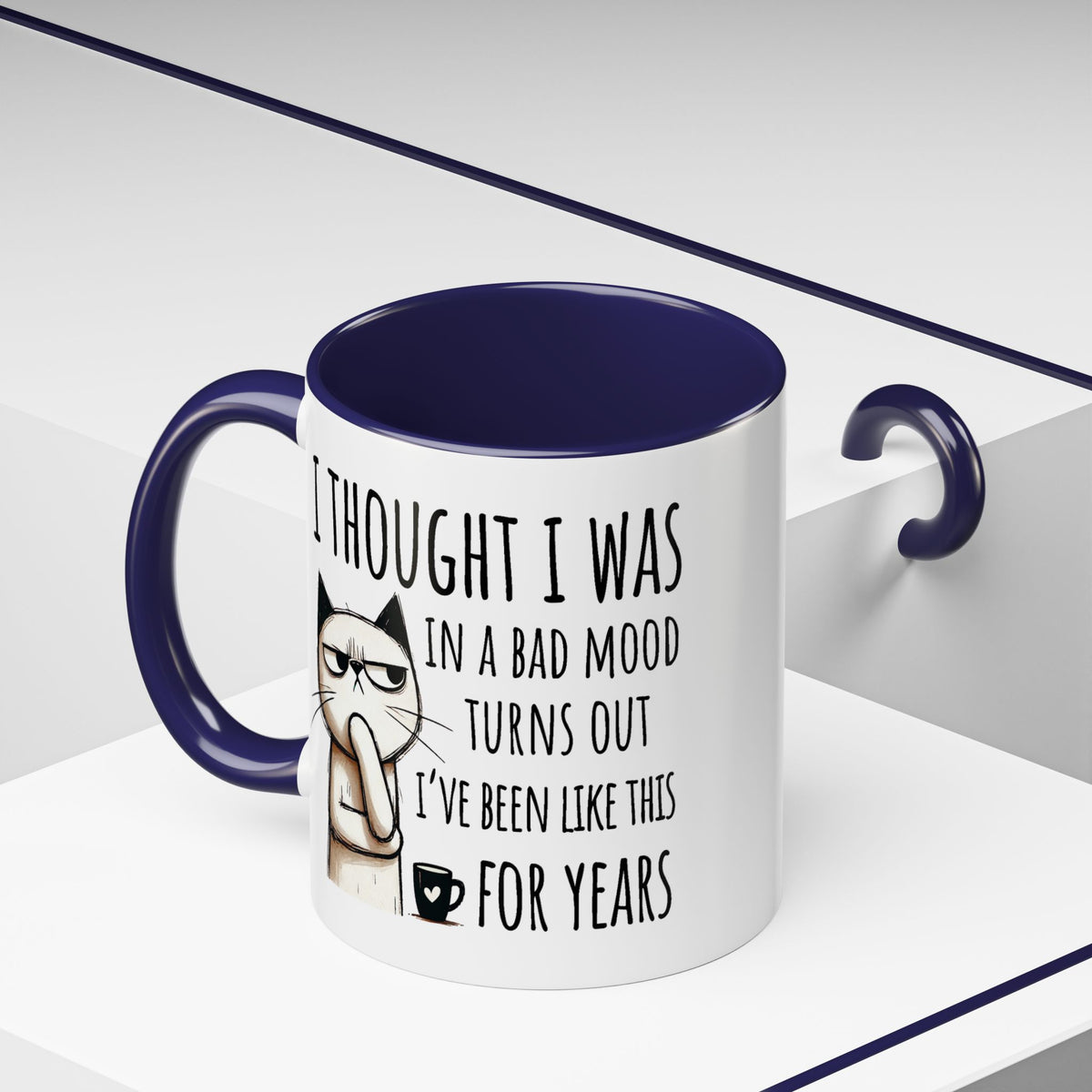 Adult Mug - I Thought I Was In A Bad Mood
