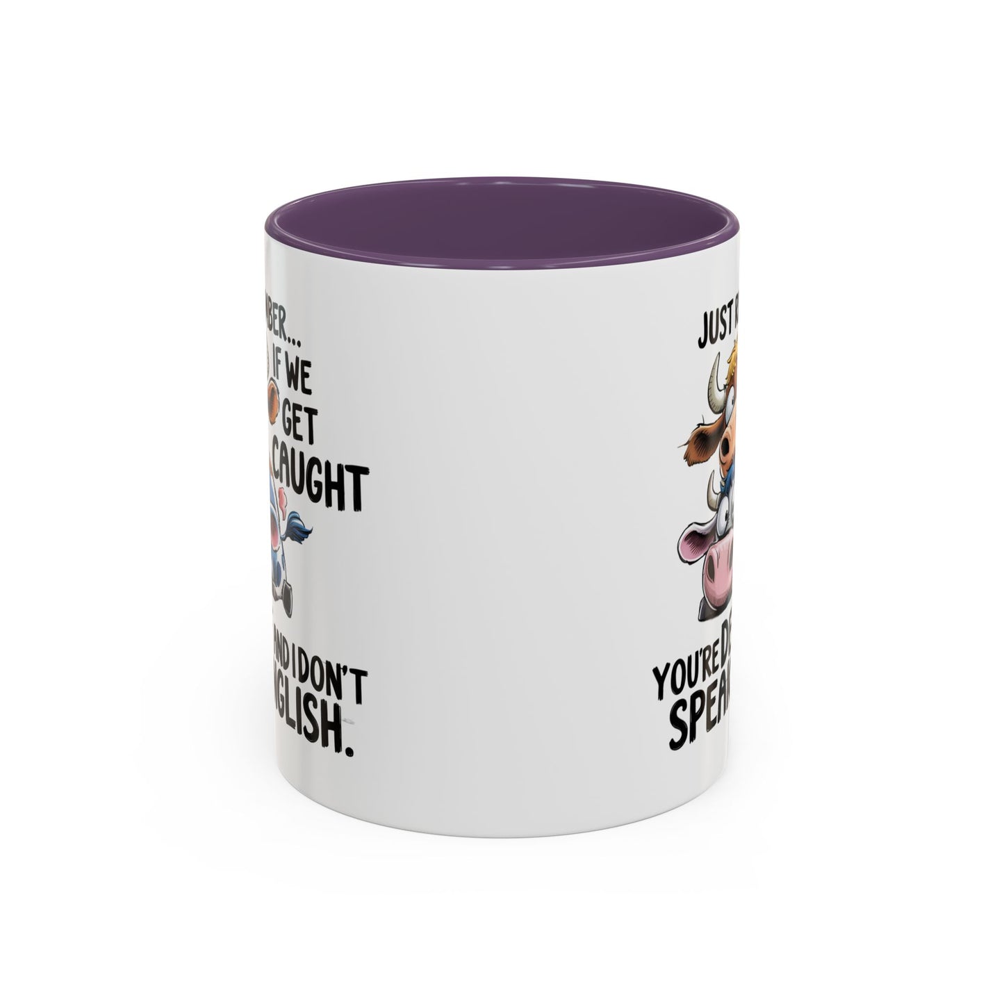 Humor Mug - Just Remember If We Get Caught
