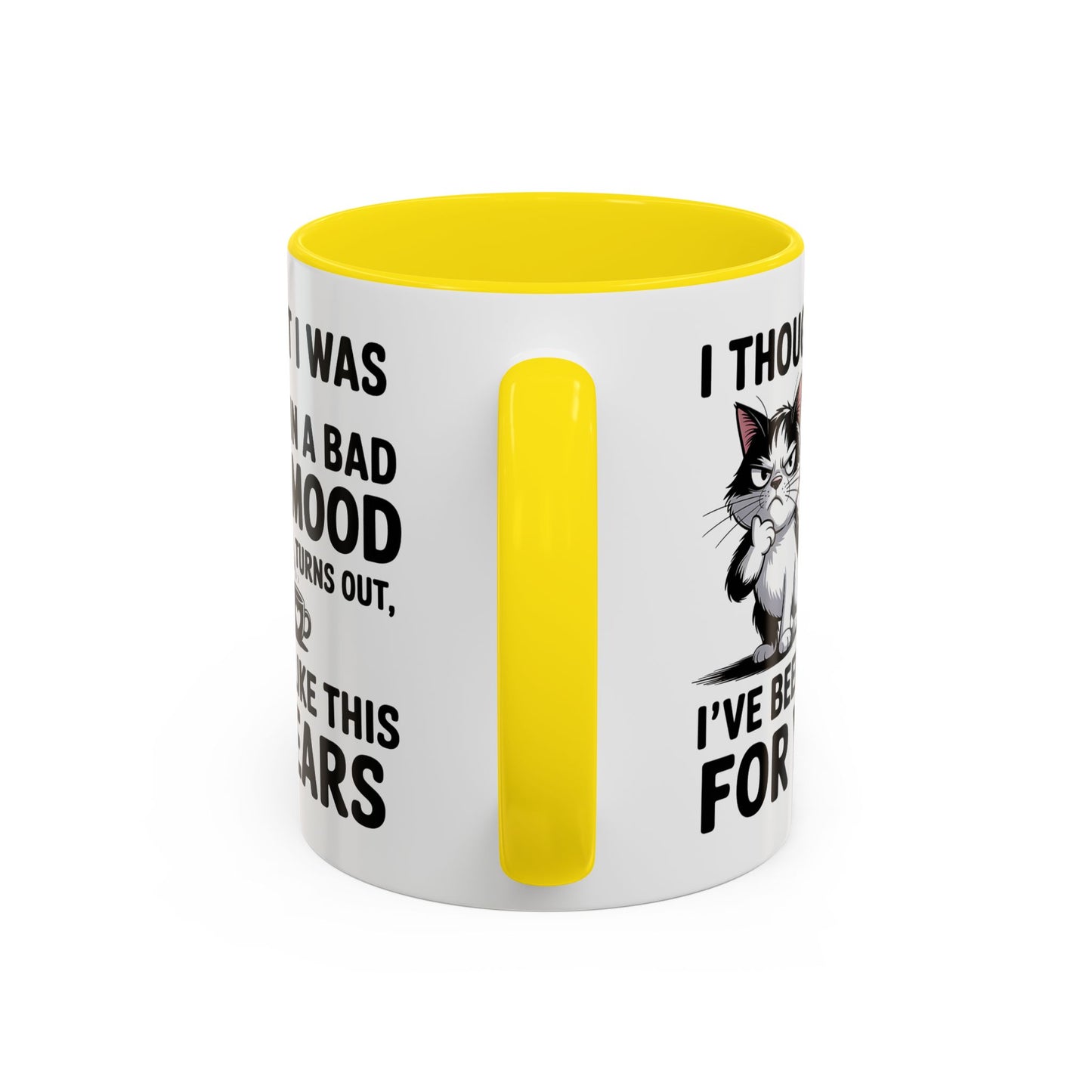 Animal Mug - I Thought I Was In a Bad Mood