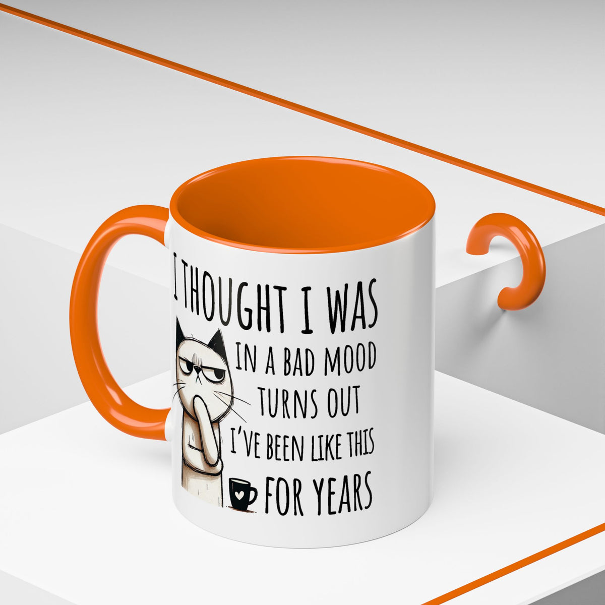 Adult Mug - I Thought I Was In A Bad Mood