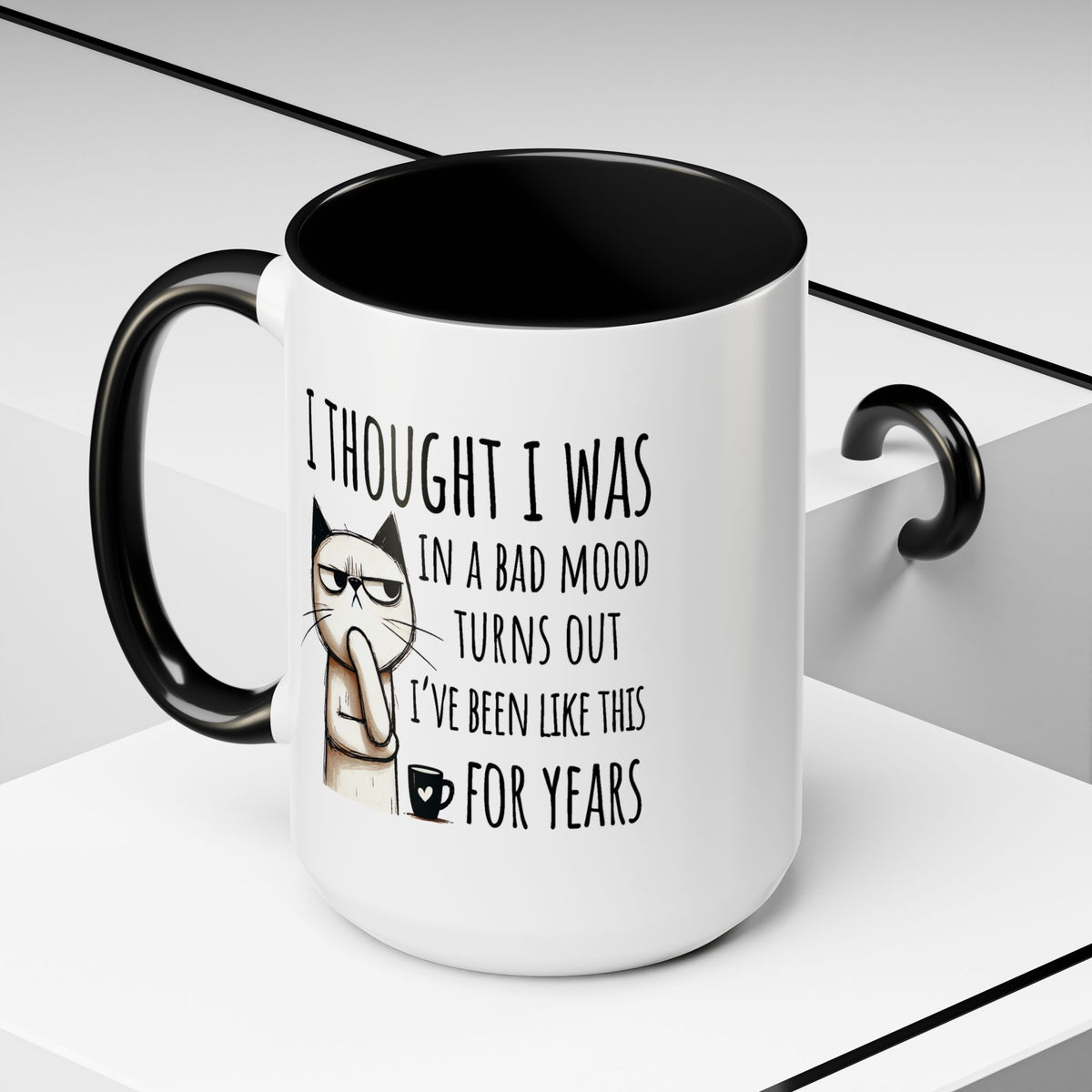 Adult Mug - I Thought I Was In A Bad Mood