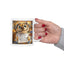 Animal Mug - Every Evening Is Cheese Time