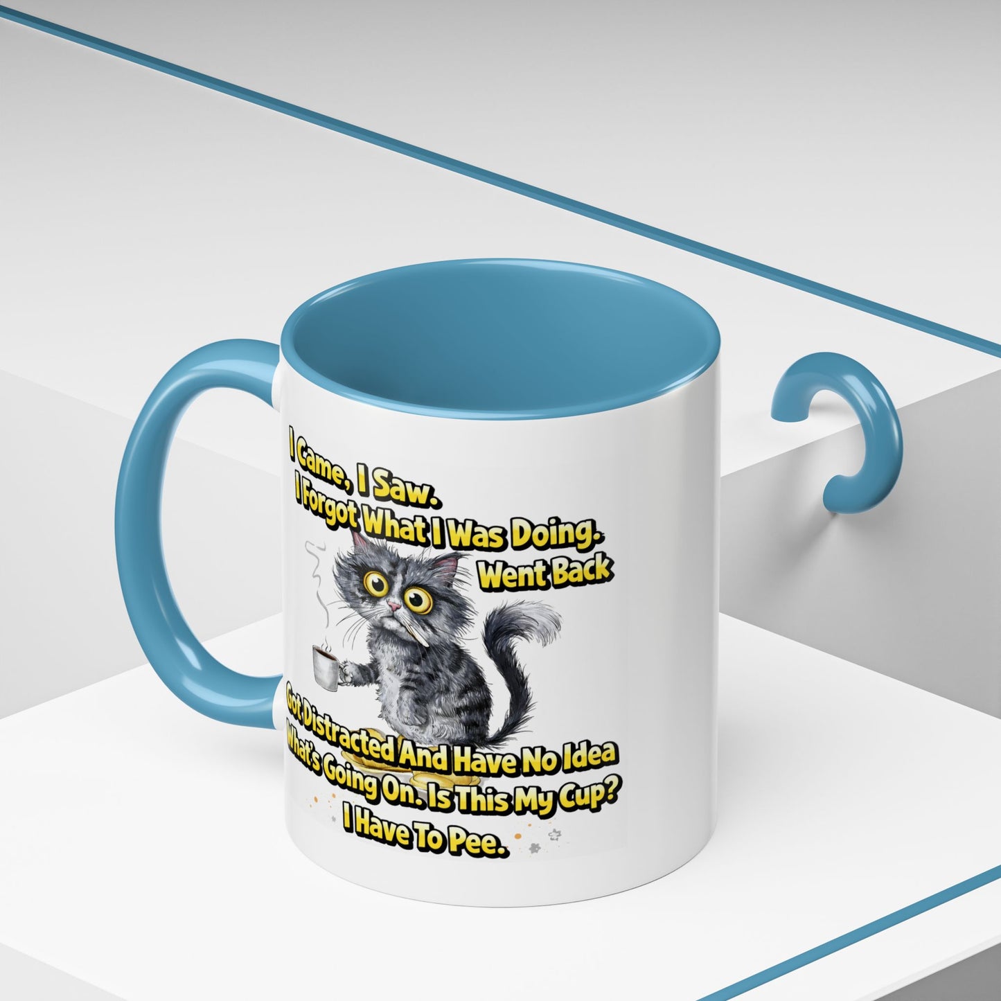 Humor Mug - I Came I Saw