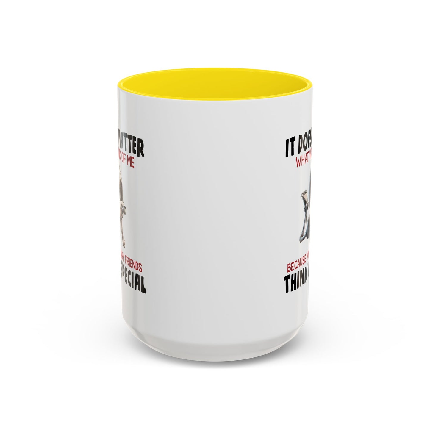 Humor Mug - It Doesn't Matter What You Think of Me
