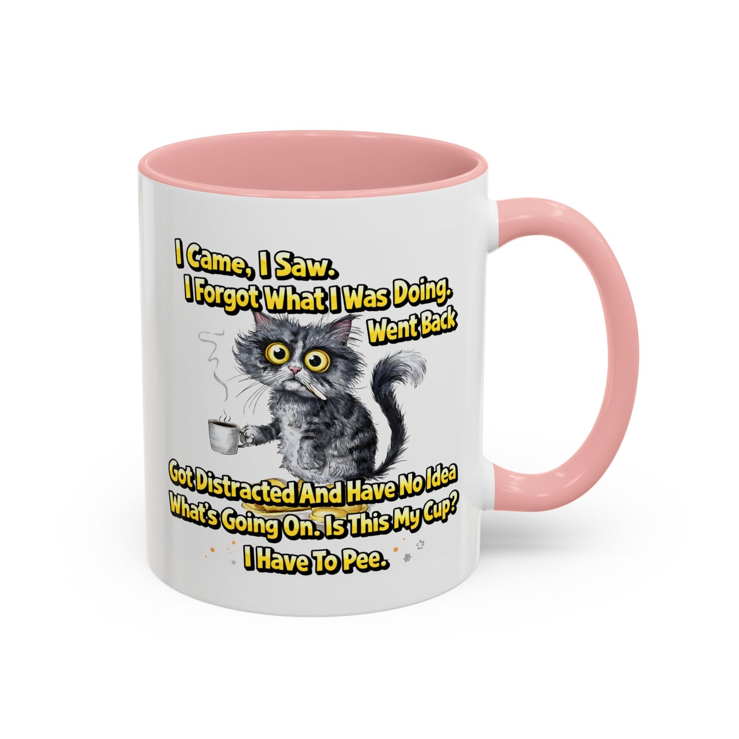 Humor Mug - I Came I Saw