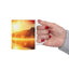 Adventure Mug - Fishing Trip