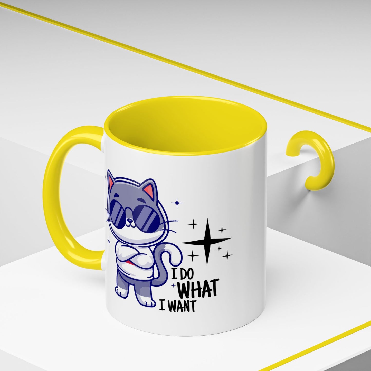 Humor Mug - I Do What I Want
