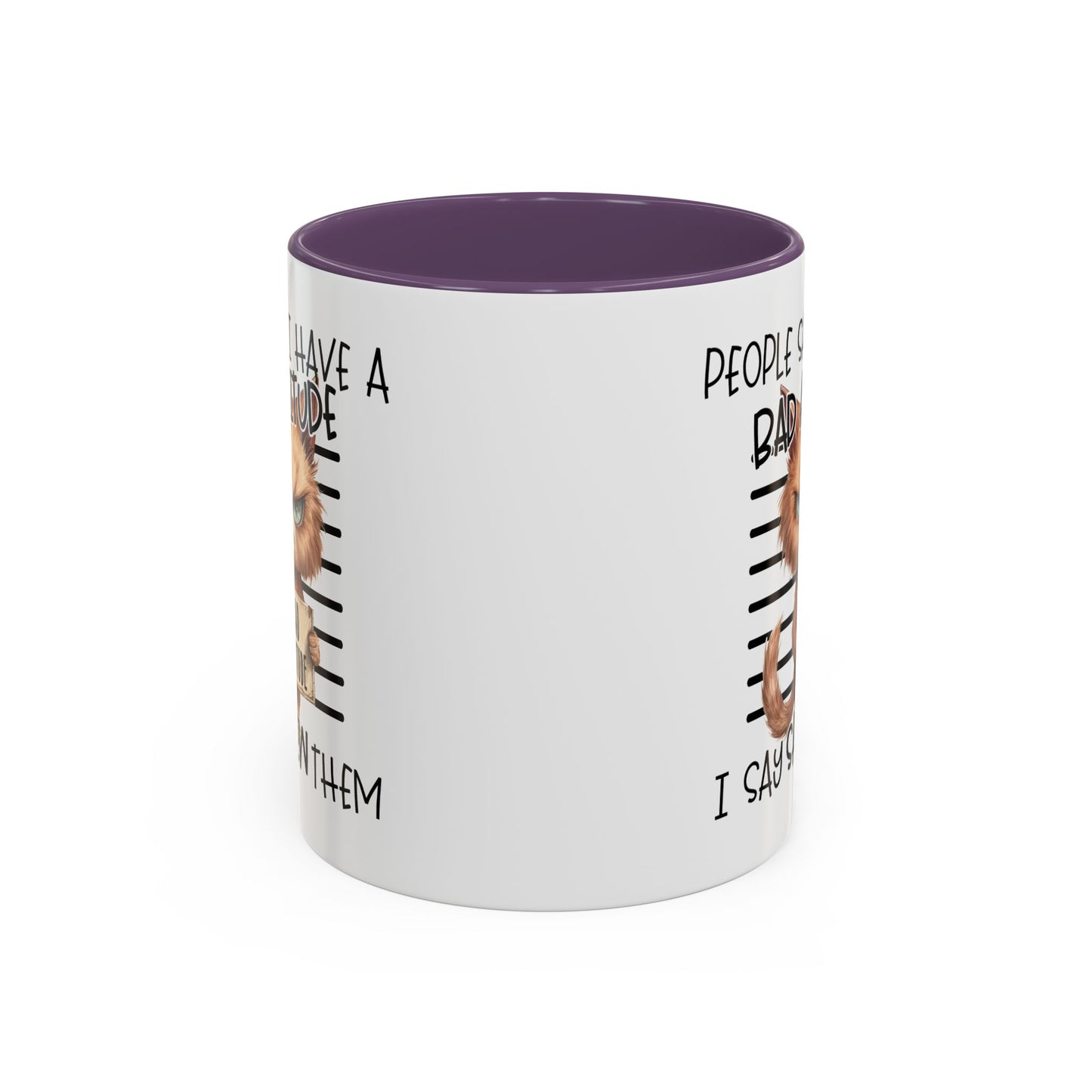 Humor Mug - People Say I Have a Bad Attitude