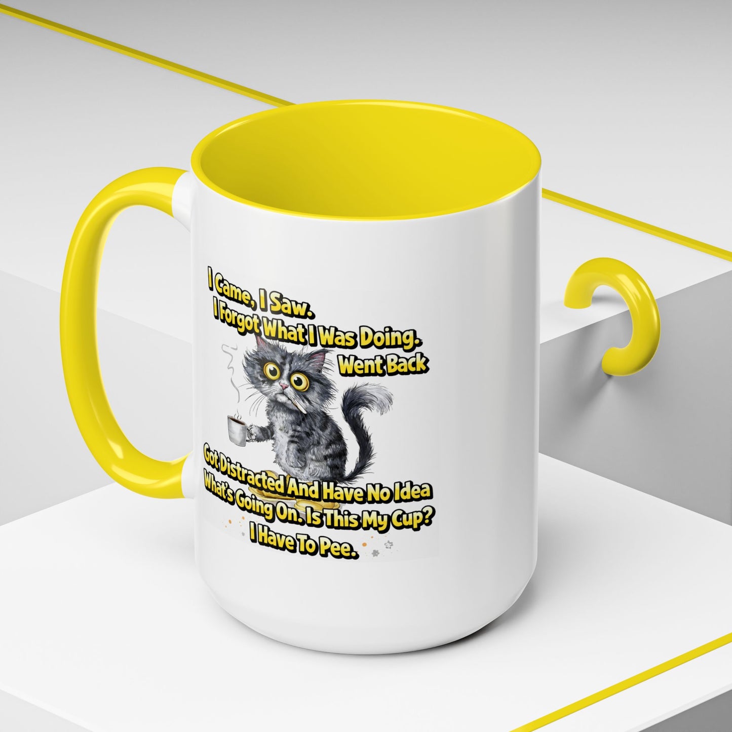 Humor Mug - I Came I Saw