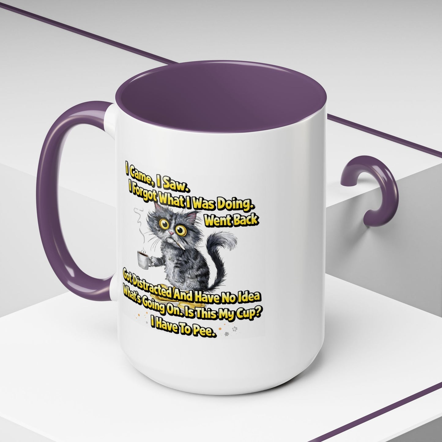 Humor Mug - I Came I Saw