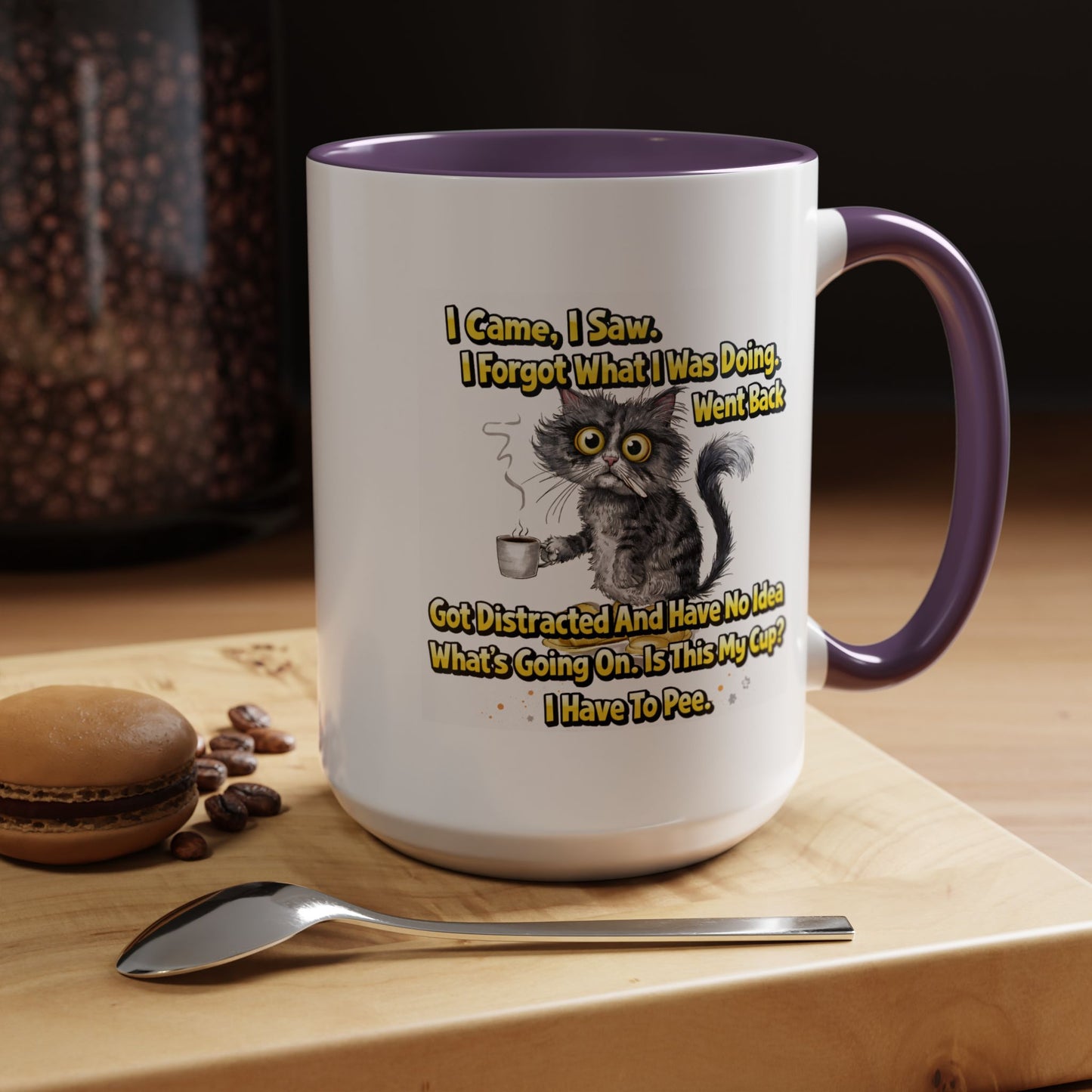 Humor Mug - I Came I Saw
