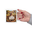 Animal Mug - A Hole Has Been Discovered