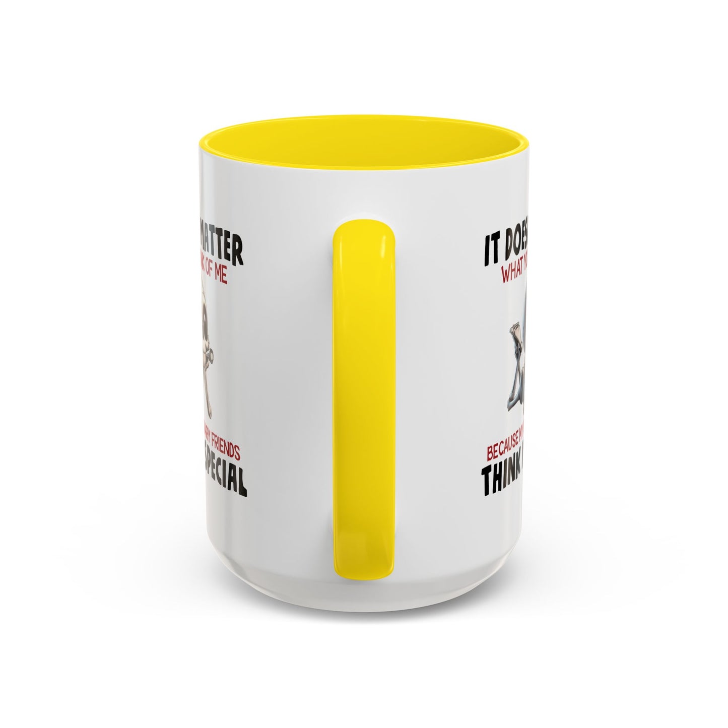 Humor Mug - It Doesn't Matter What You Think of Me