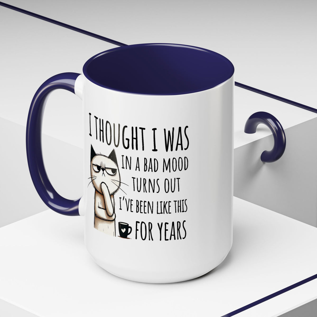 Adult Mug - I Thought I Was In A Bad Mood