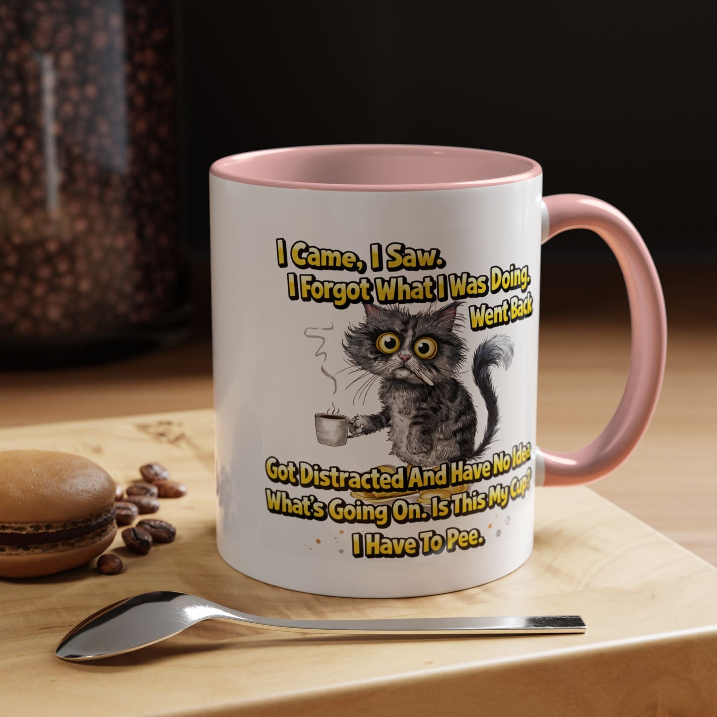 Humor Mug - I Came I Saw
