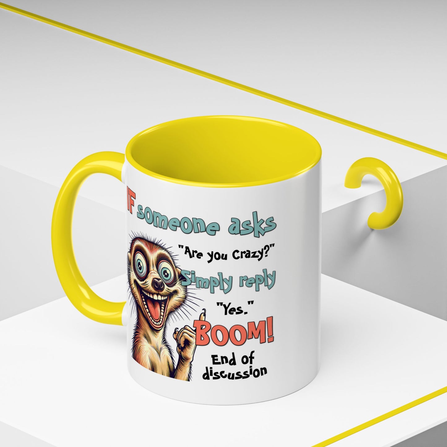 Humor Mug - If Someone Asks Are You Crazy