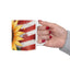 Artistic Mug - American Sunflower