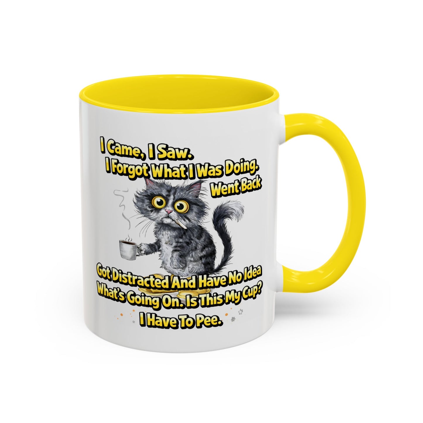 Humor Mug - I Came I Saw