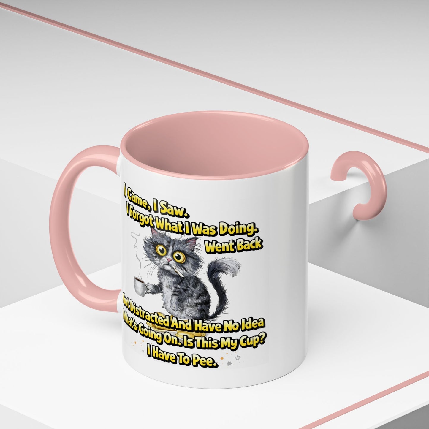 Humor Mug - I Came I Saw