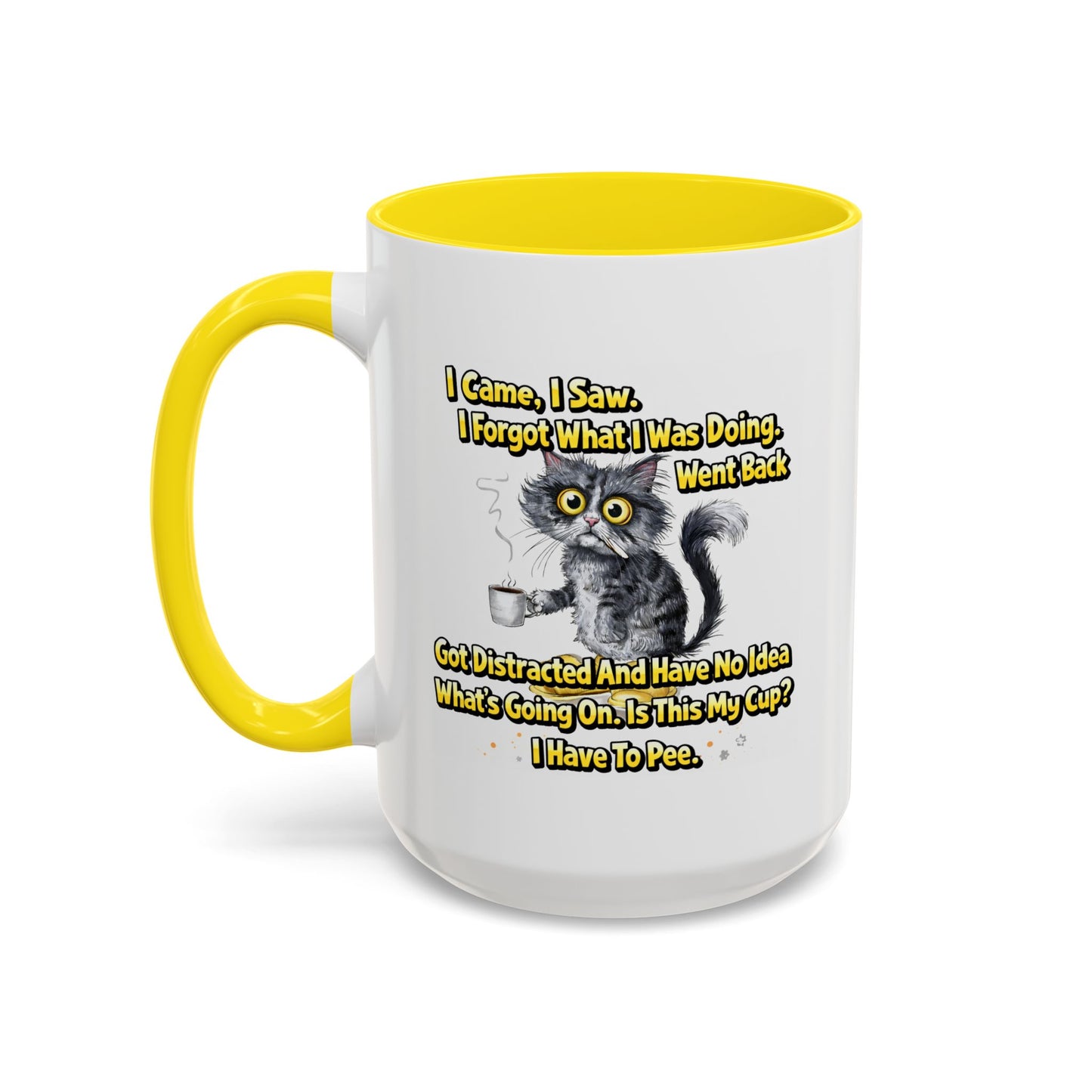 Humor Mug - I Came I Saw