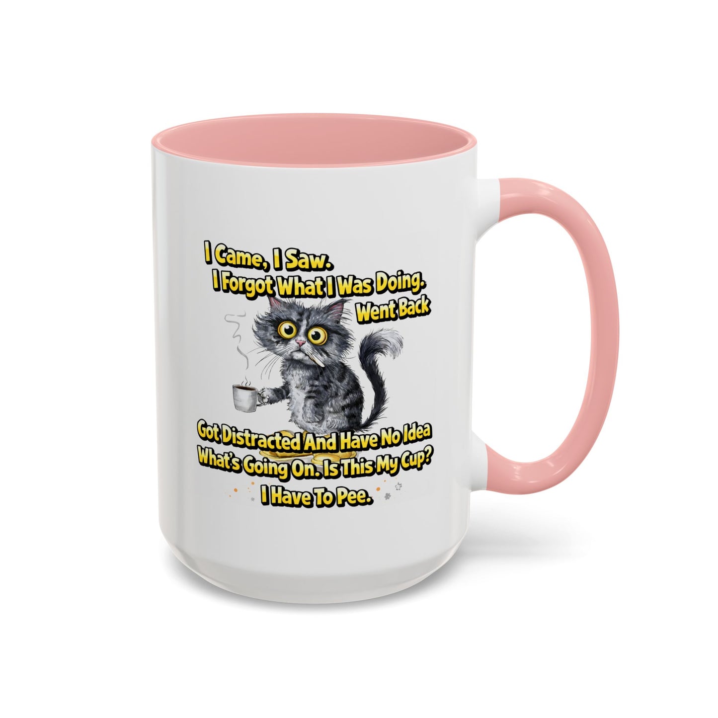 Humor Mug - I Came I Saw