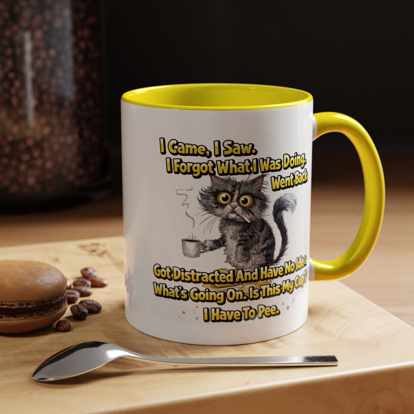 Humor Mug - I Came I Saw