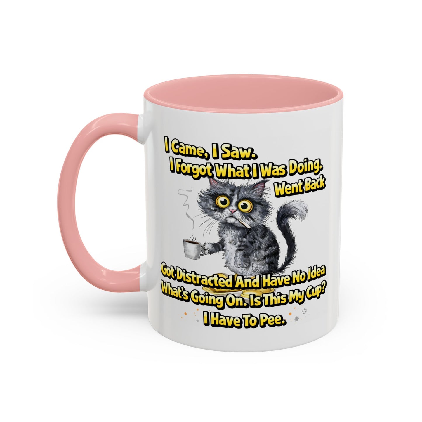 Humor Mug - I Came I Saw