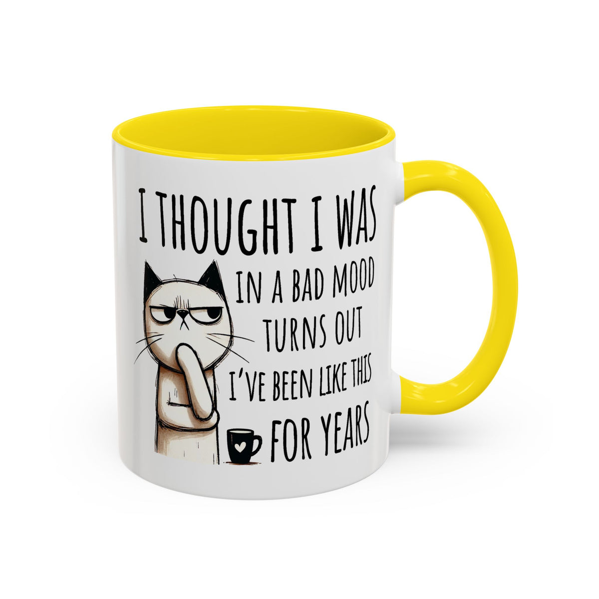 Adult Mug - I Thought I Was In A Bad Mood