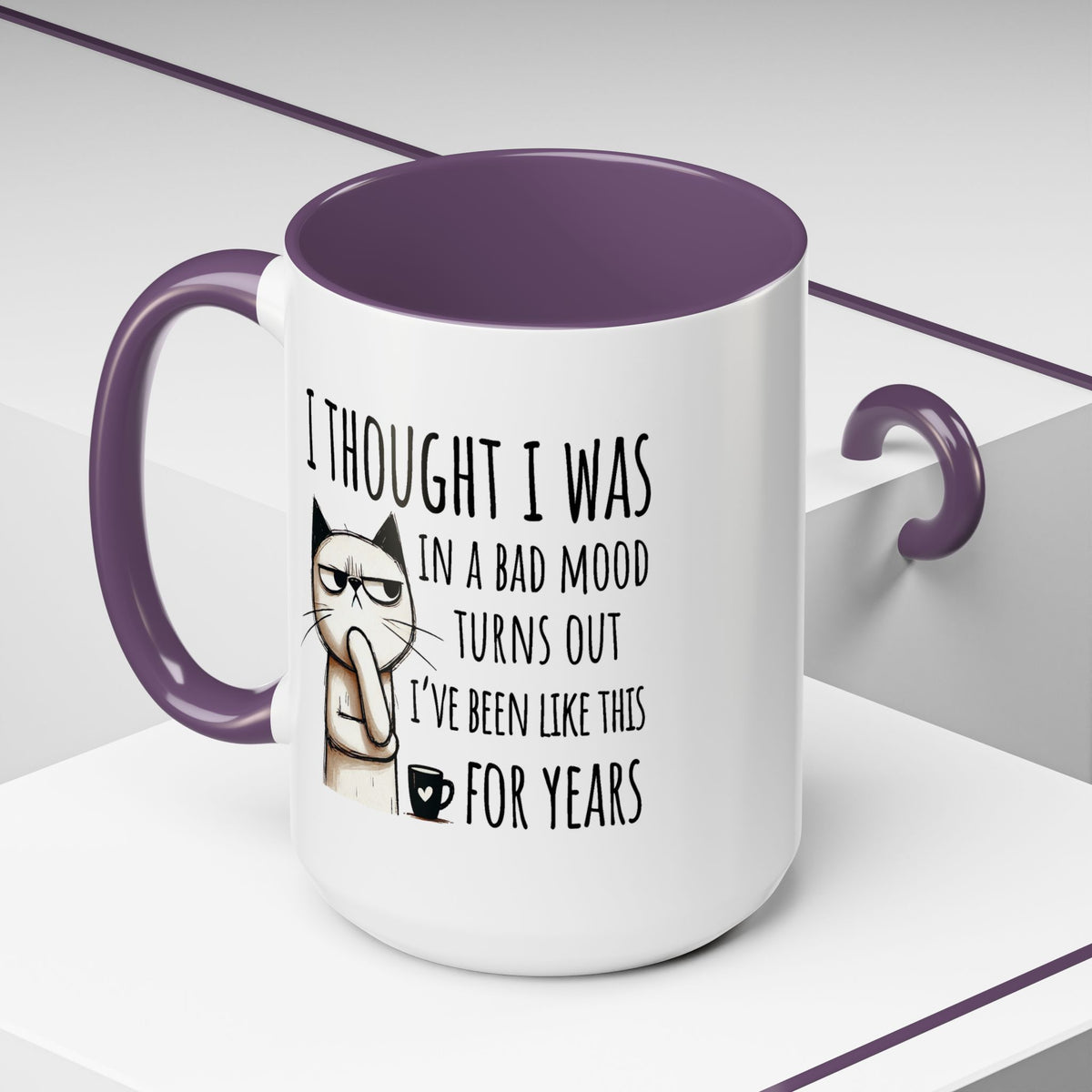 Adult Mug - I Thought I Was In A Bad Mood