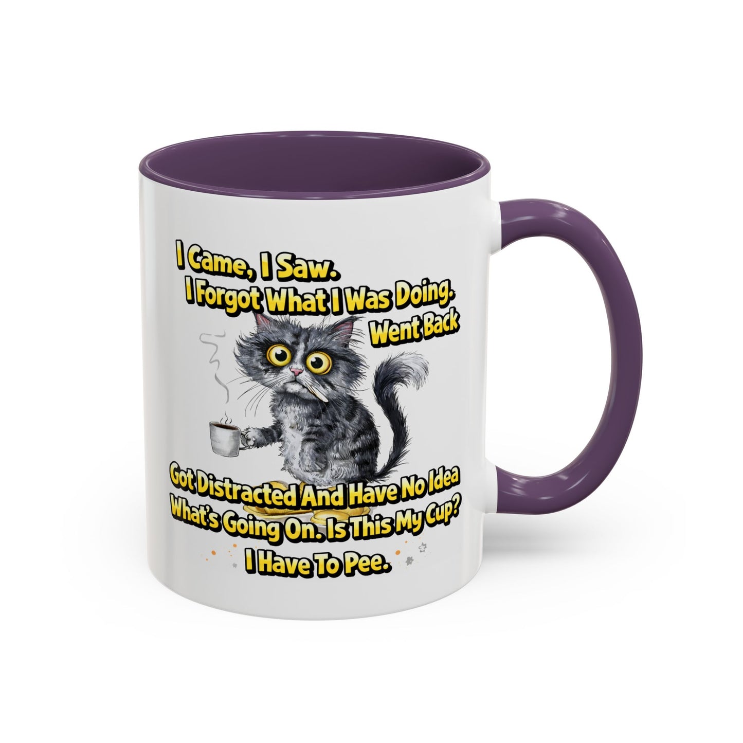 Humor Mug - I Came I Saw