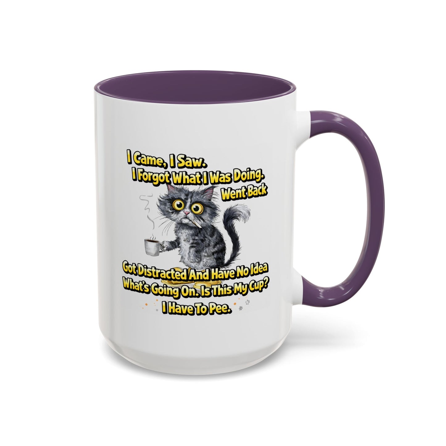 Humor Mug - I Came I Saw