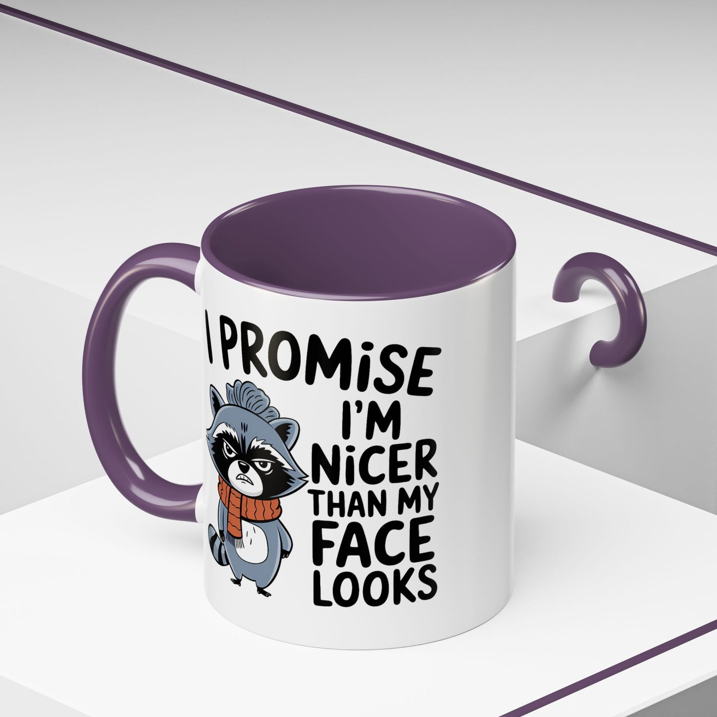 Humor Mug - I Promise I'm Nicer Than My Face Looks