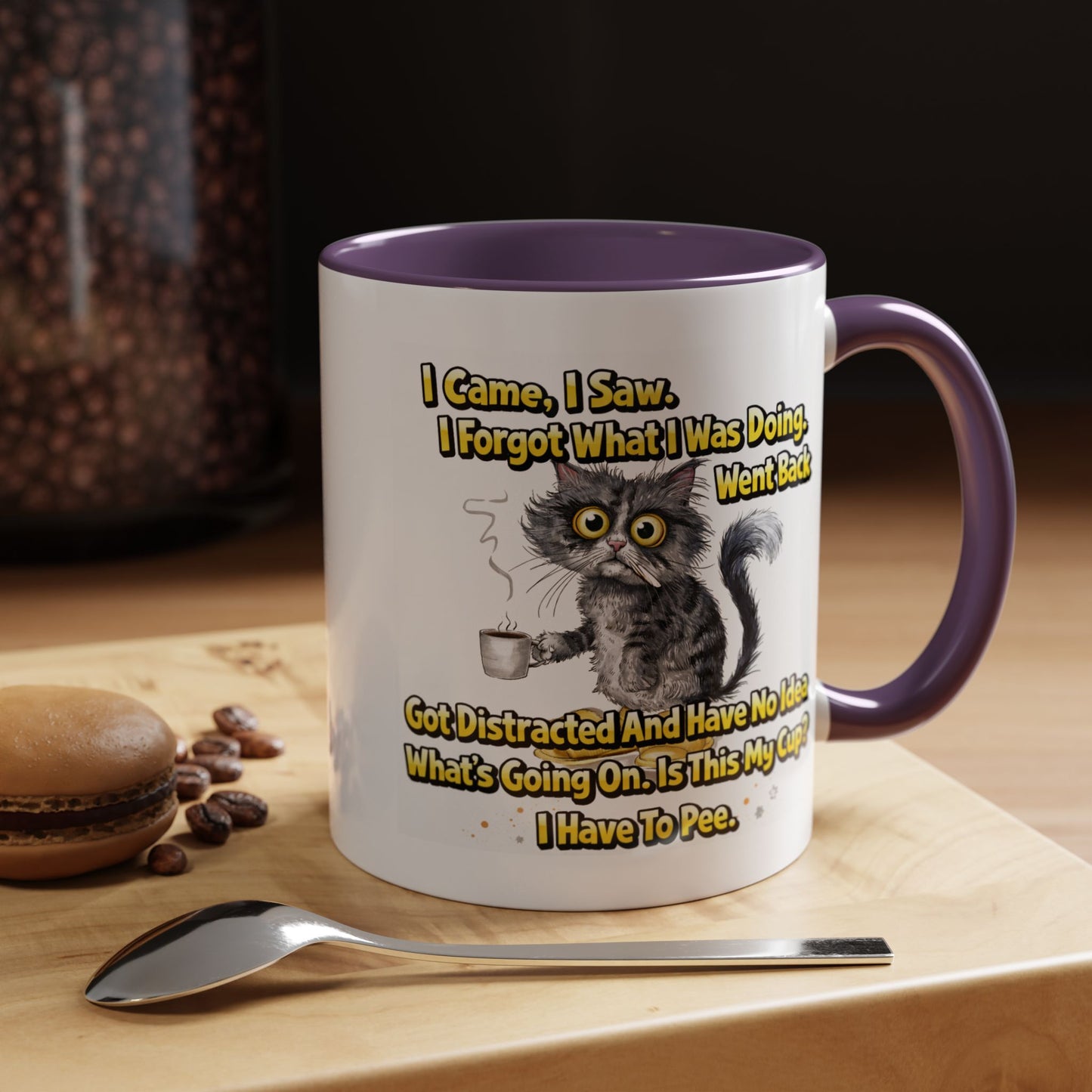 Humor Mug - I Came I Saw
