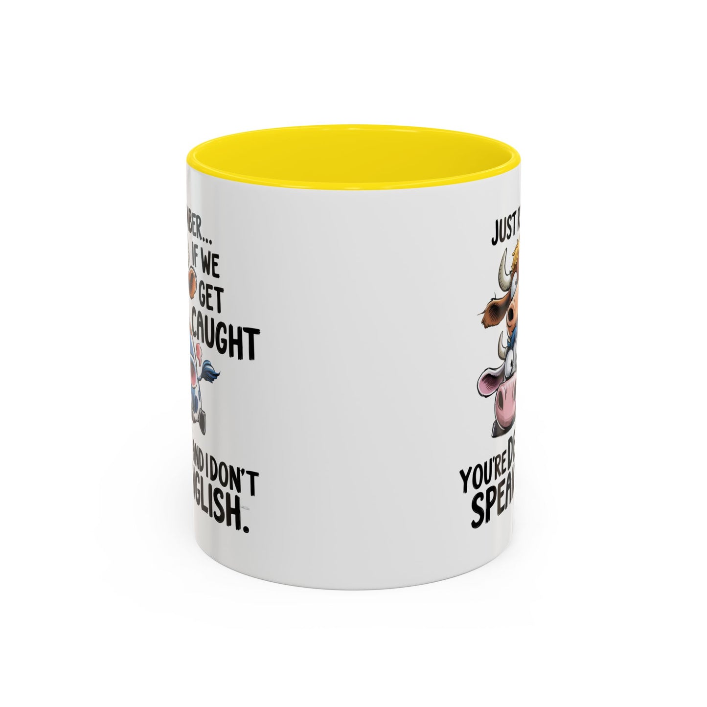 Humor Mug - Just Remember If We Get Caught