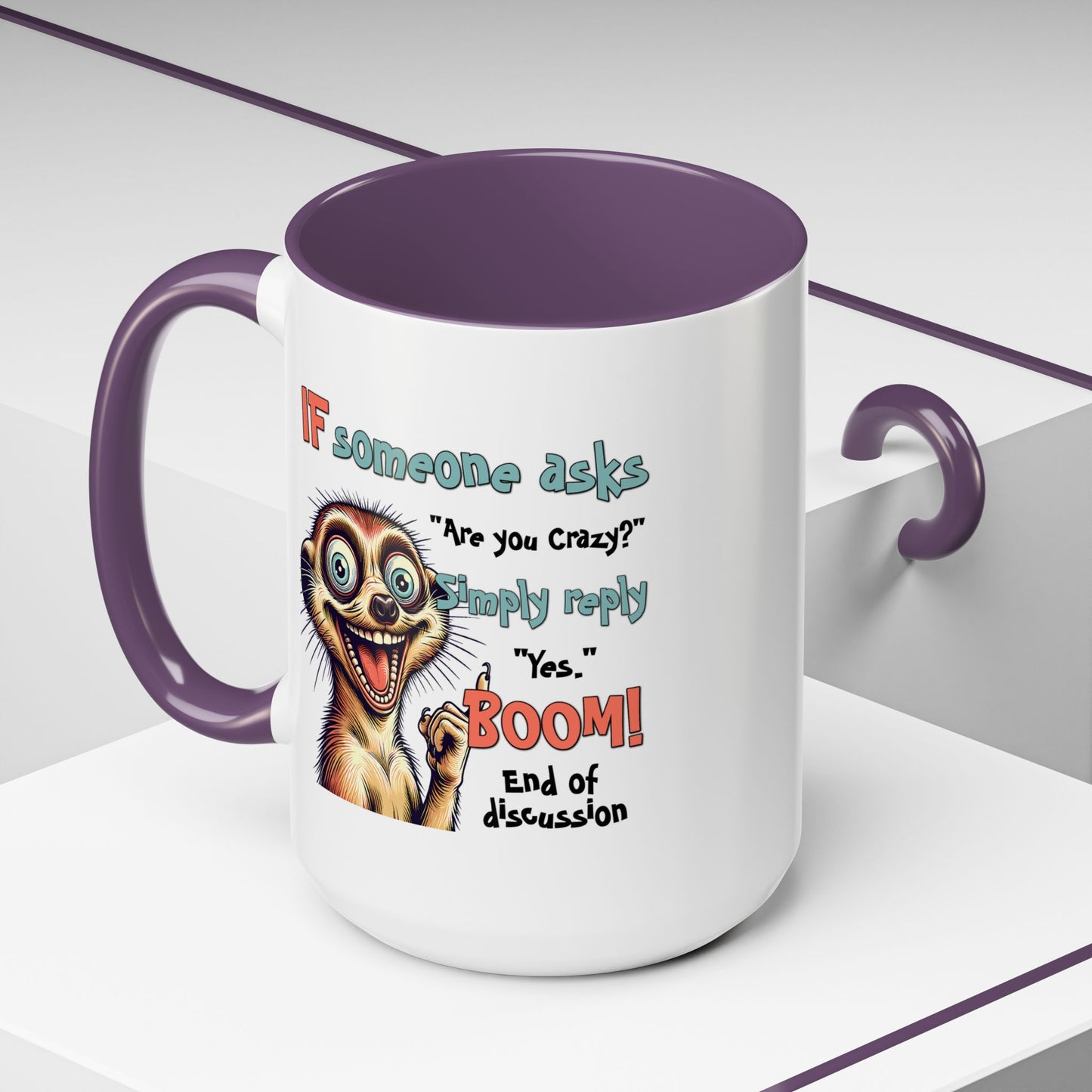 Humor Mug - If Someone Asks Are You Crazy